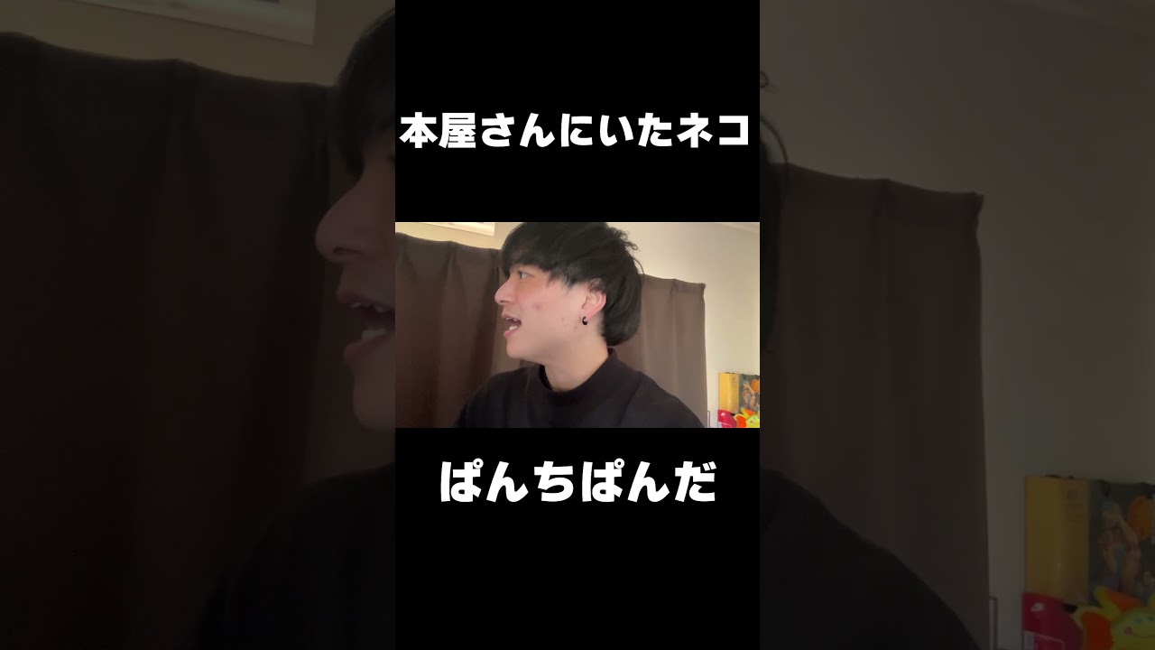 本屋さんにいたネコ #ぱんちぱんだ