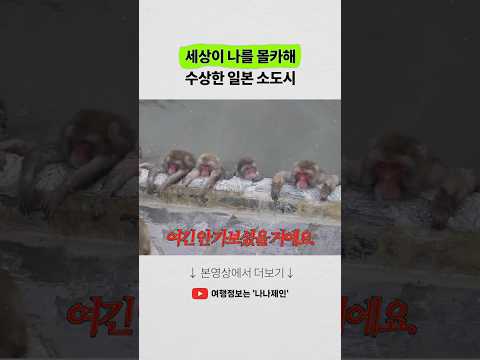 홋카이도 여행: 숨겨진 보석, 하코다테