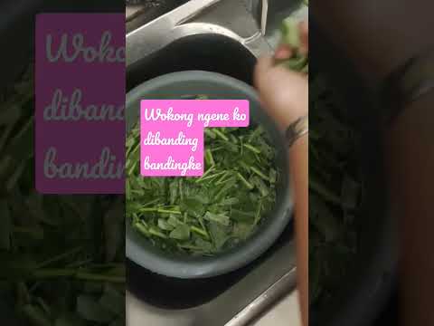 cook simple kale#shots#