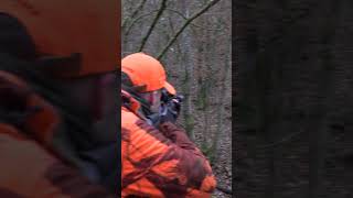 Bache oder Keiler?  #jagd #drückjagd #schwarzwild