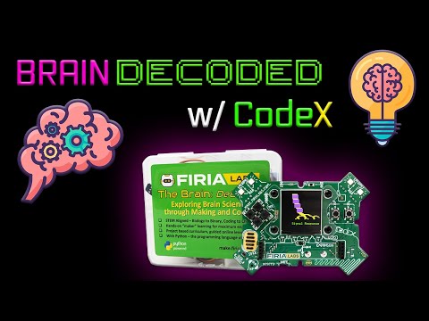Introducing the Brain Decoded Kit