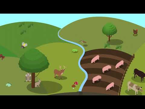 The Farming Circle of Life: Healthy Ecosystems