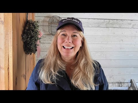 Chantilly Chicks Picks Must Know Information