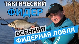 Ловля осенью леща на фидер