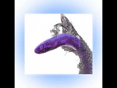 Your new Improved Skin SAPIEN MEDICINE