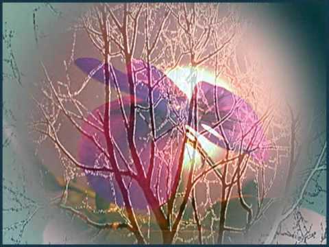 Was wir säen ernten wir