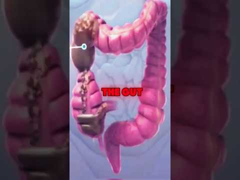 3 Best Drinks To Cleanse Your Gut #guthealth #gutcleanse #health