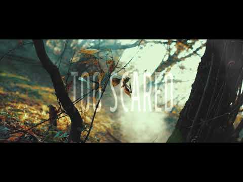 Mag Chlebowska - blood from a stone (Official lyric video)