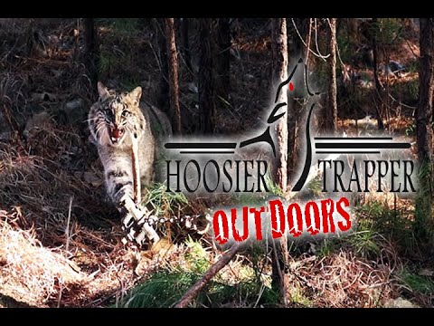 Trapping Predators S.9 Ep.6