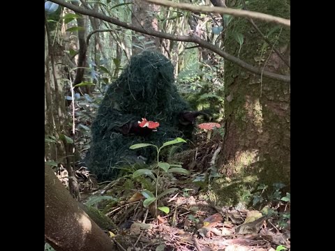 Woodland Wanderer by Rayleen Clancy