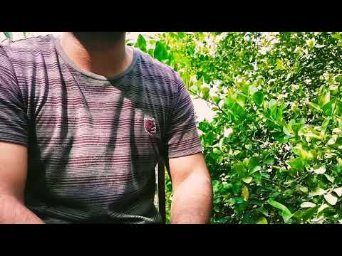 Lluvias De Mayo - Un León Marinero