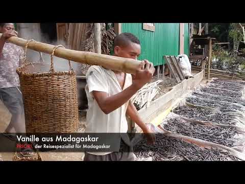 Von der Orchidee zur Vanilleschote - Madagaskar