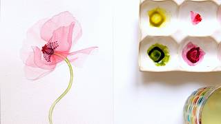 How to Paint delicate Transparent Poppy Flower in Watercolor