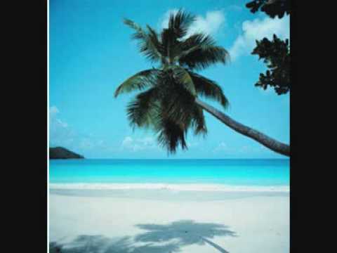 LL cool J feat Amerie - Paradise ( Summer remix )