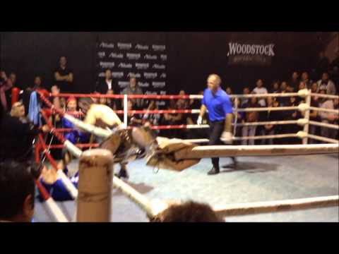 War in The Waikato, Chris N Knock Out