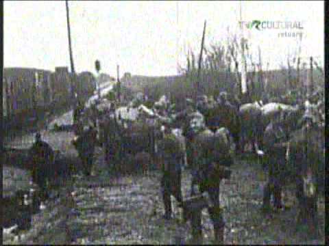 Romania in al II-lea razboi mondial