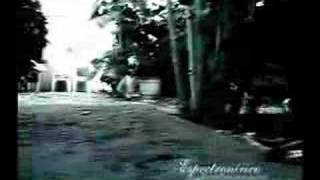 Natura - Le voyage de Rock