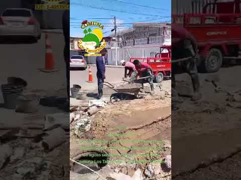 Comuna los Tamarindo Municipio San Fernando Estado Apure