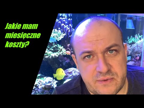 Ile pieniędzy wydaję co miesiąc na utrzymanie akwarium morskiego? REEF tank 300l (80g).