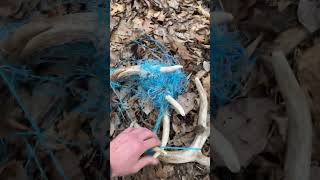 What A Find! We Got A Match Set Of Antlers In Baling Twine!