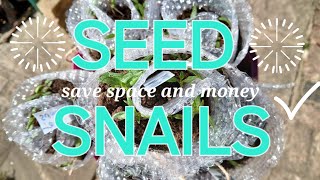 saving money and space using the seed snail method