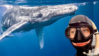 Swimming with Orcas in Norway! (Once in Lifetime Experience)