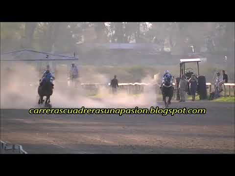 KIMERA, C. Cuatia (21-07-2019), CLASICO 340mts