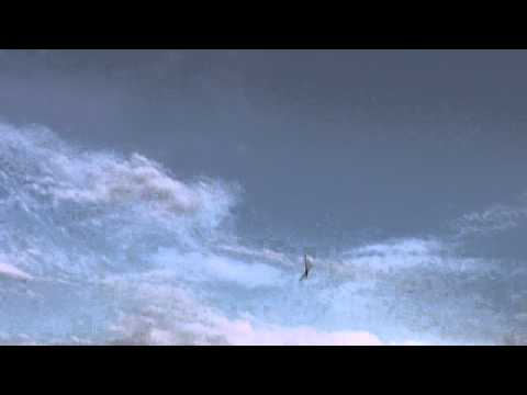 Henseleit TDR - Rigid Modell 2010 - 07.07.2011