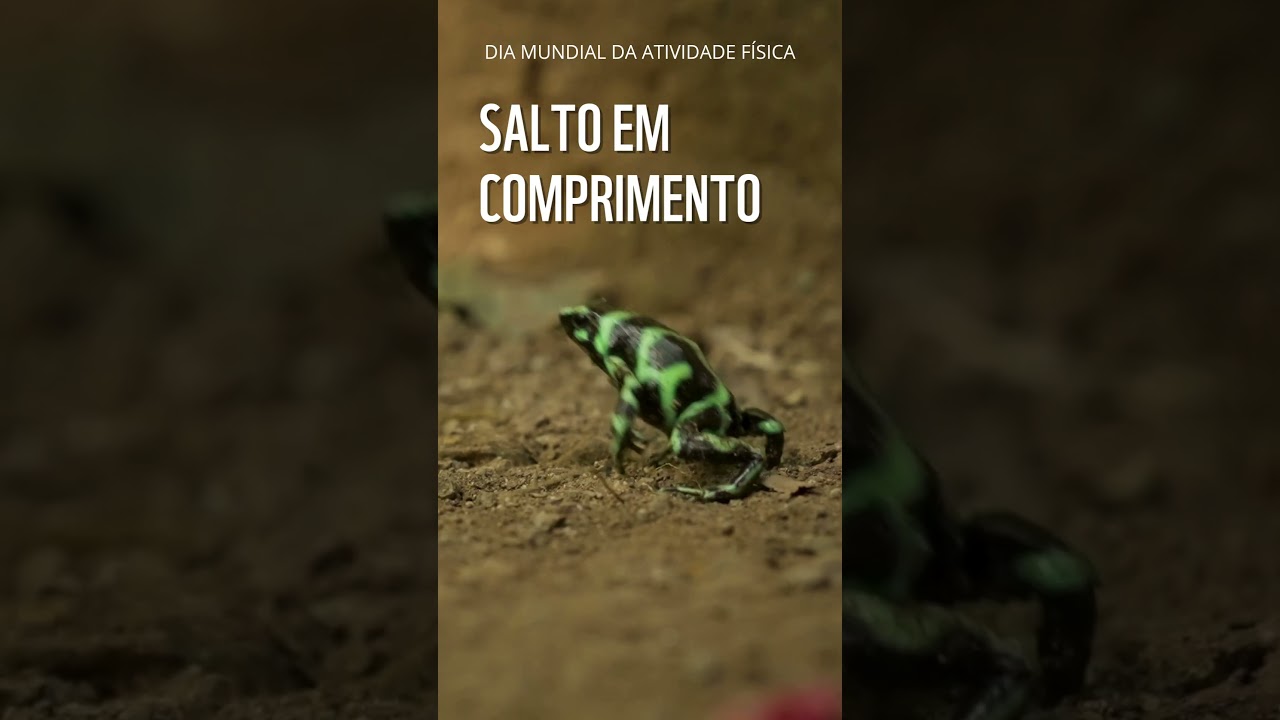 Dia Mundial da Atividade Física