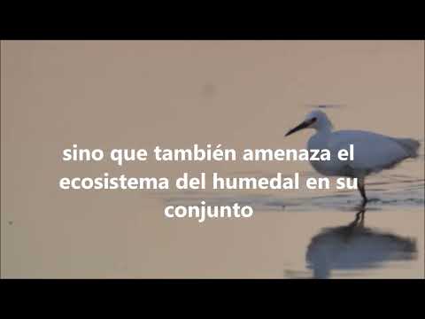 Proyecto de Urbanización en Cangrejal de las Vegas, Canelones.