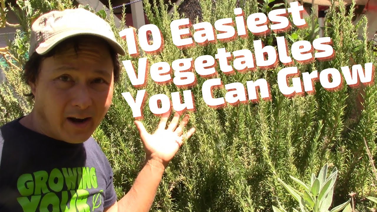 What crops can be grown in the desert?