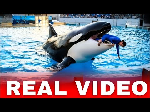 FULL VIDEO JESSICA RADCLIFFE ORCA