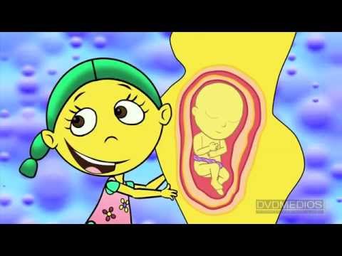 El Mundo de Polli - CAP 026 MAMA EMBARAZADA