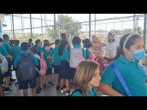 ARIS Cares Monthly Market October