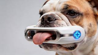55 Useful Amazon Pet Products Worth Buying in 2026
