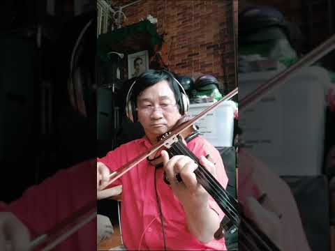 Relax by Thanh Tung Violon In SG Covid Lockdown Me Toi TT