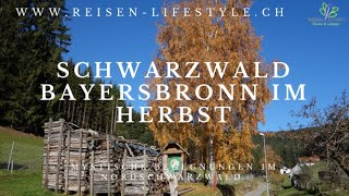 preview picture of video 'Region Baiersbronn, Schwarzwald, Barbara Blunschi, Reisen & Lifestyle'