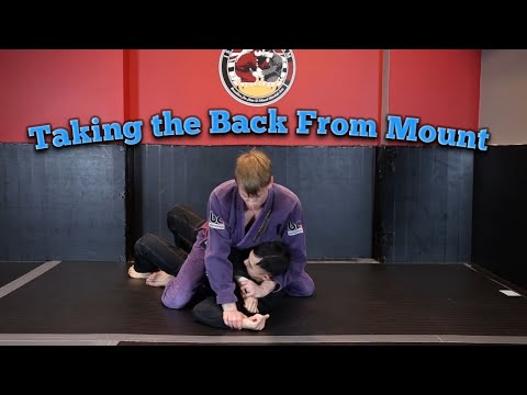 BJJ Conceptual Basics - Tying it all together in Full Mount