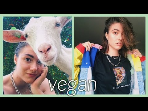 🌿 dit is wat 1 jaar vegan zijn met je doet 🌿