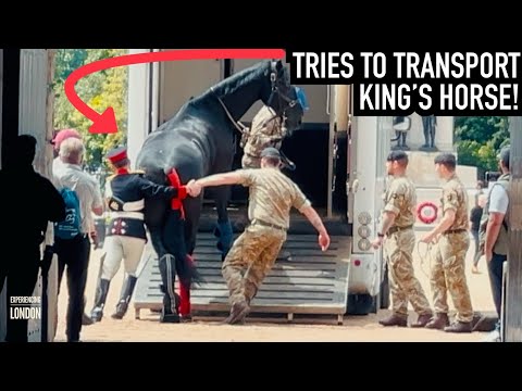 SOLDIERS TRY TO TRANSPORT HUGE KING’S HORSE, HE REACTS LIKE THIS! | Horse Guards, Royal guard, Horse