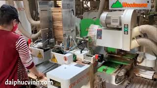 MÁY LÀM MỘNG DƯƠNG CNC 2 Đầu tải nặng Woodmaster