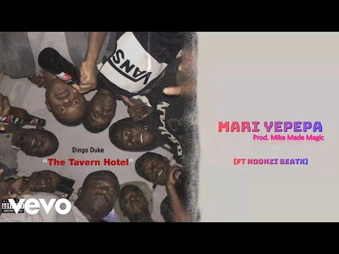 Dingo Duke - Mari YePepa (Visualizer) ft. Ndonzi Beatx