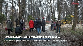«Малые дела» для братьев наших меньших