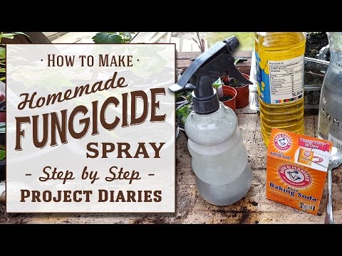 , title : '★ How to: Make Cheap Homemade Fungicide (Complete Step by Step Guide)'