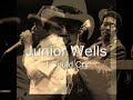 Junior Wells-I Could Cry