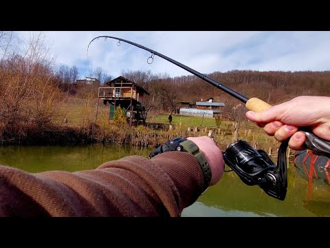 SUPER PARTIDĂ LA FEEDER IARNA IN BALTA DIN GRĂDINĂ 🤩 Crapi la method feeder 🎣