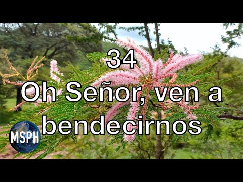 HA62 | Himno 34 | Oh Señor, ven a bendecirnos