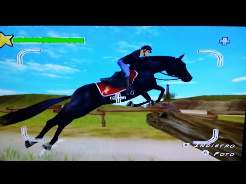 Horse Life : Amis pour la vie Wii