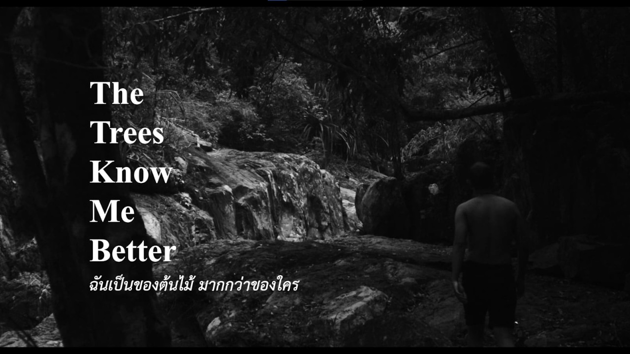 The Trees Know Me Better (2026) "ฉันเป็นของต้นไม้ มากกว่าของใคร" (๒๕๖๙) / Dir - Chatchawan Thongchan