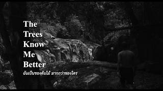 The Trees Know Me Better (2026) "ฉันเป็นของต้นไม้ มากกว่าของใคร" (๒๕๖๙) / Dir - Chatchawan Thongchan